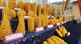 Schloss Honig - Panzer